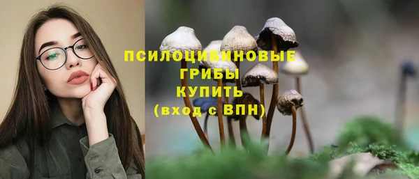 ПСИЛОЦИБИНОВЫЕ ГРИБЫ Беломорск
