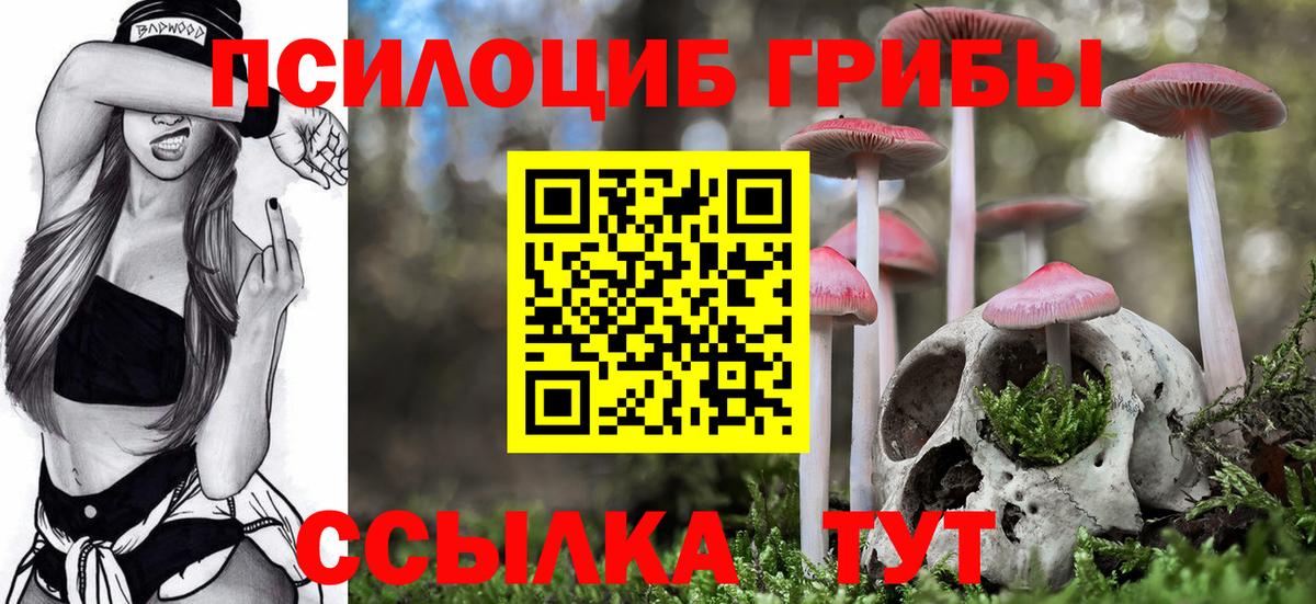 Кушва  Галлюциногенные грибы Psilocybine cubensis  Вход с VPN 