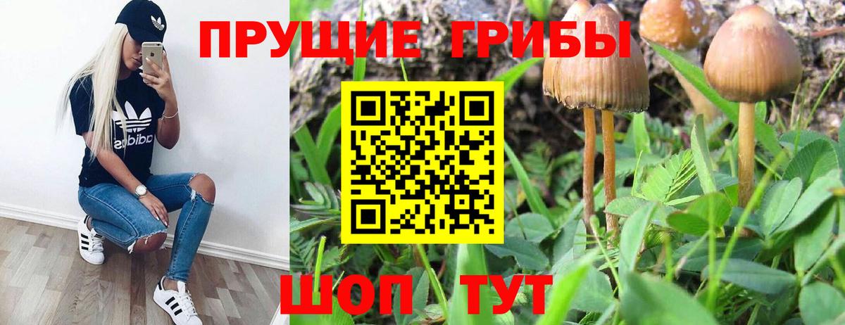 Псилоцибиновые грибы MAGIC MUSHROOMS Кушва