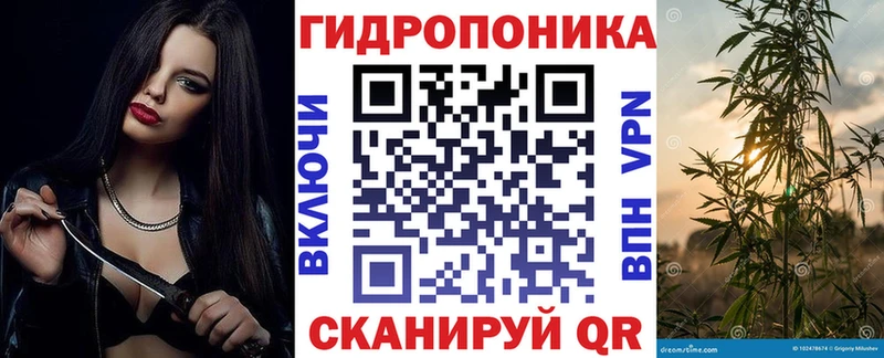 blacksprut маркетплейс  Кушва  Шишки марихуана планчик 